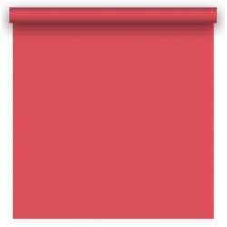 Фон бумажный BD 2,72х11,0м - Розовый (Passion Pink) 192A1